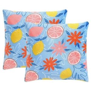 BRAND NEW The Big One Summer Printed Plush 2-pack Throw Pillow Decorative Blue F